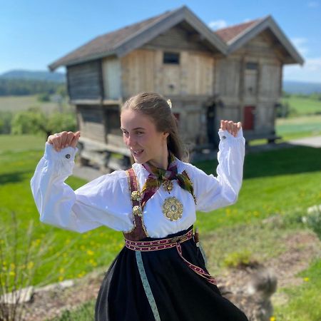 Gardsturisme Sonstebo Hotel Bo (Telemark) Kültér fotó
