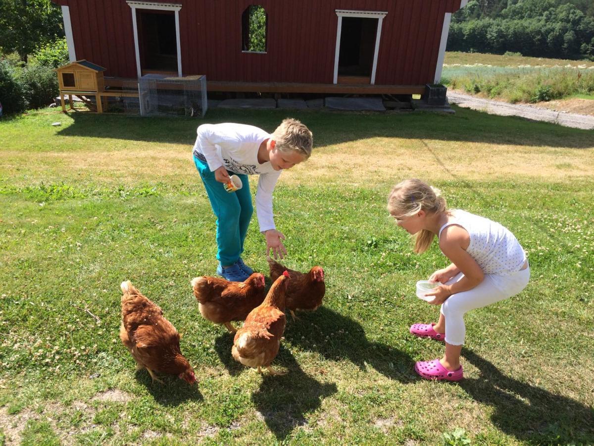 Gardsturisme Sonstebo Hotel Bo (Telemark) Kültér fotó